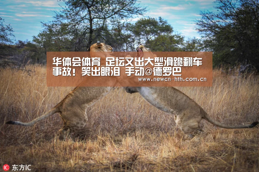 华体会体育_足坛又出大型滑跪翻车事故!笑出眼泪 手动@德罗巴(图1) 华体会体育